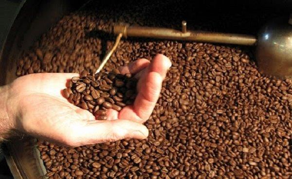 Cà phê hạt Robusta nguyên chất 100%