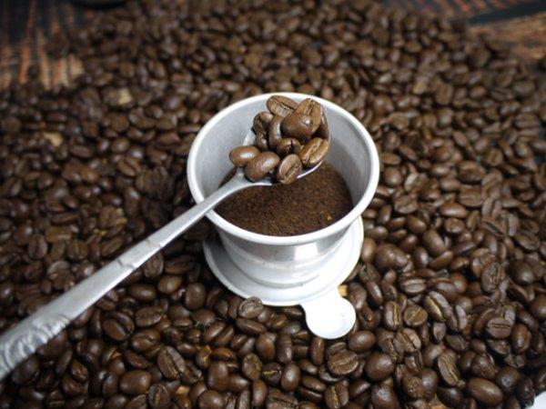 Cà phê Robusta nguyên chất loại 1 chế biến ướt giá sỉ hàng chuẩn
