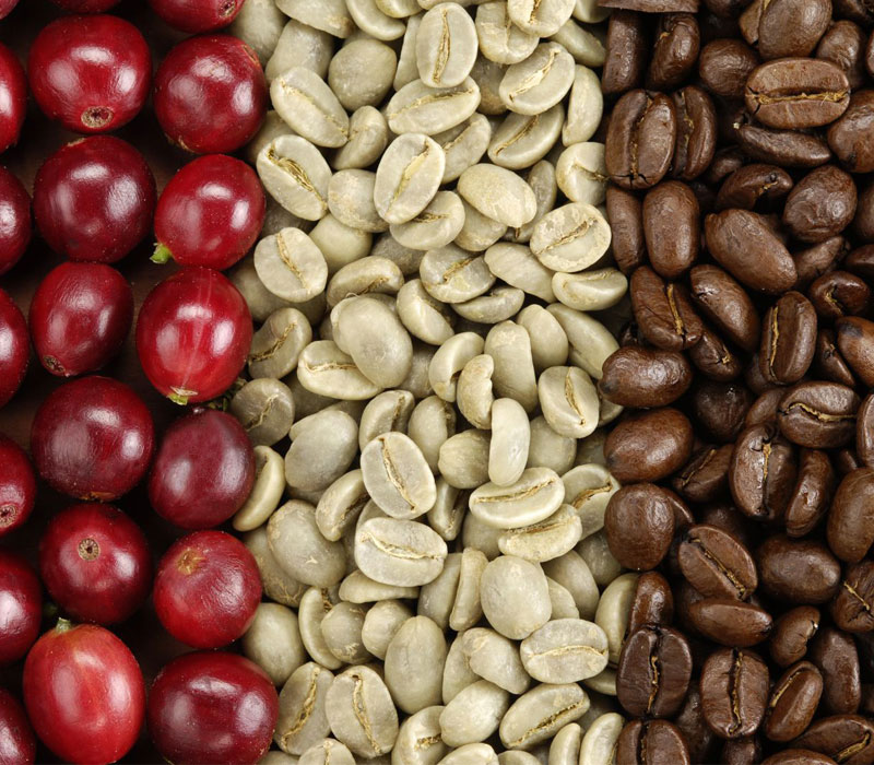 Một số sản phẩm cà phê tại xưởng cà phê 81 - SGcafe